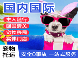 广州空运地址国际宠物托运 【国